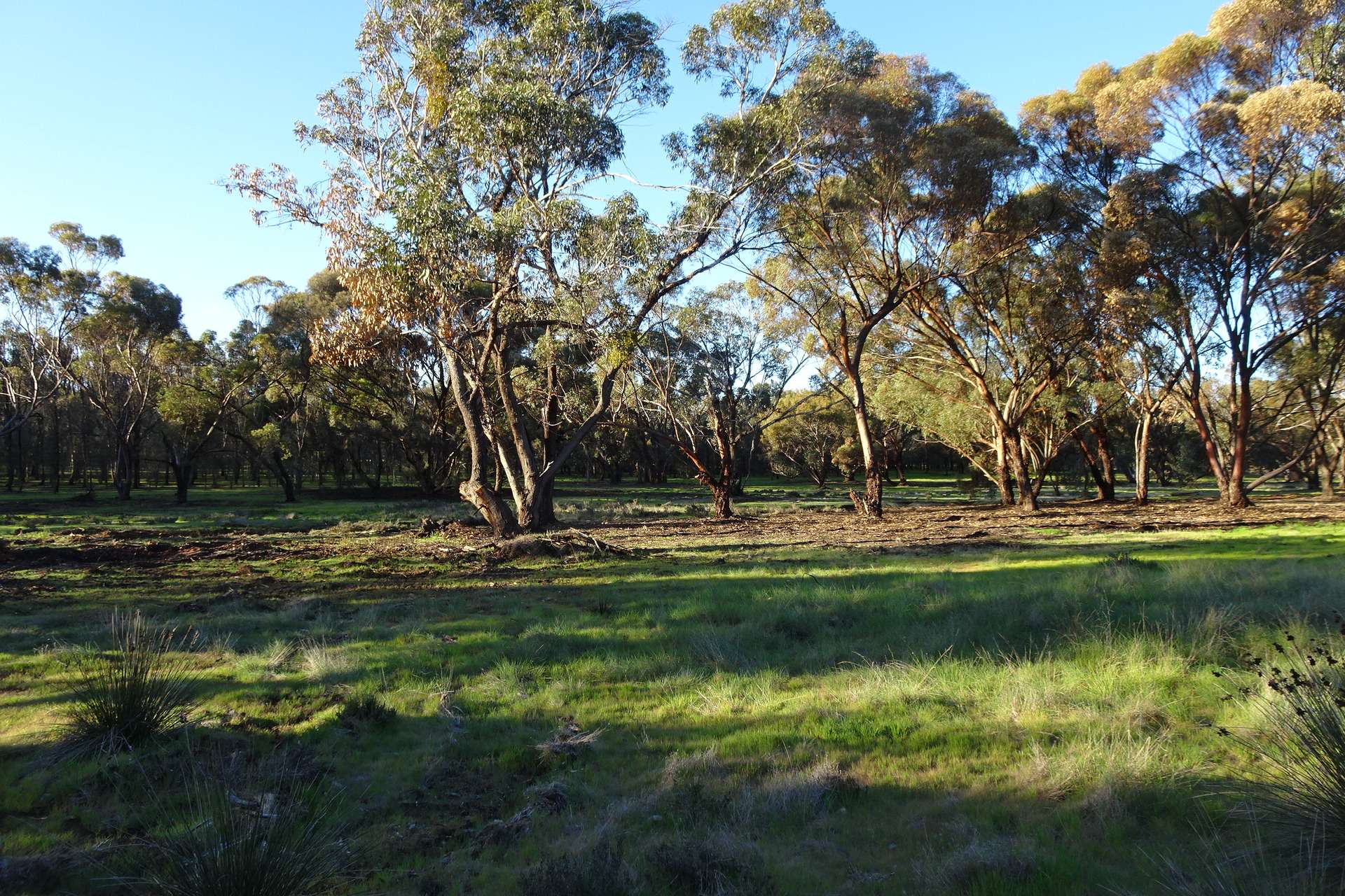 Lot 7244 Tullets Road West, Popanyinning For Sale by Farmbuy.com - image 17