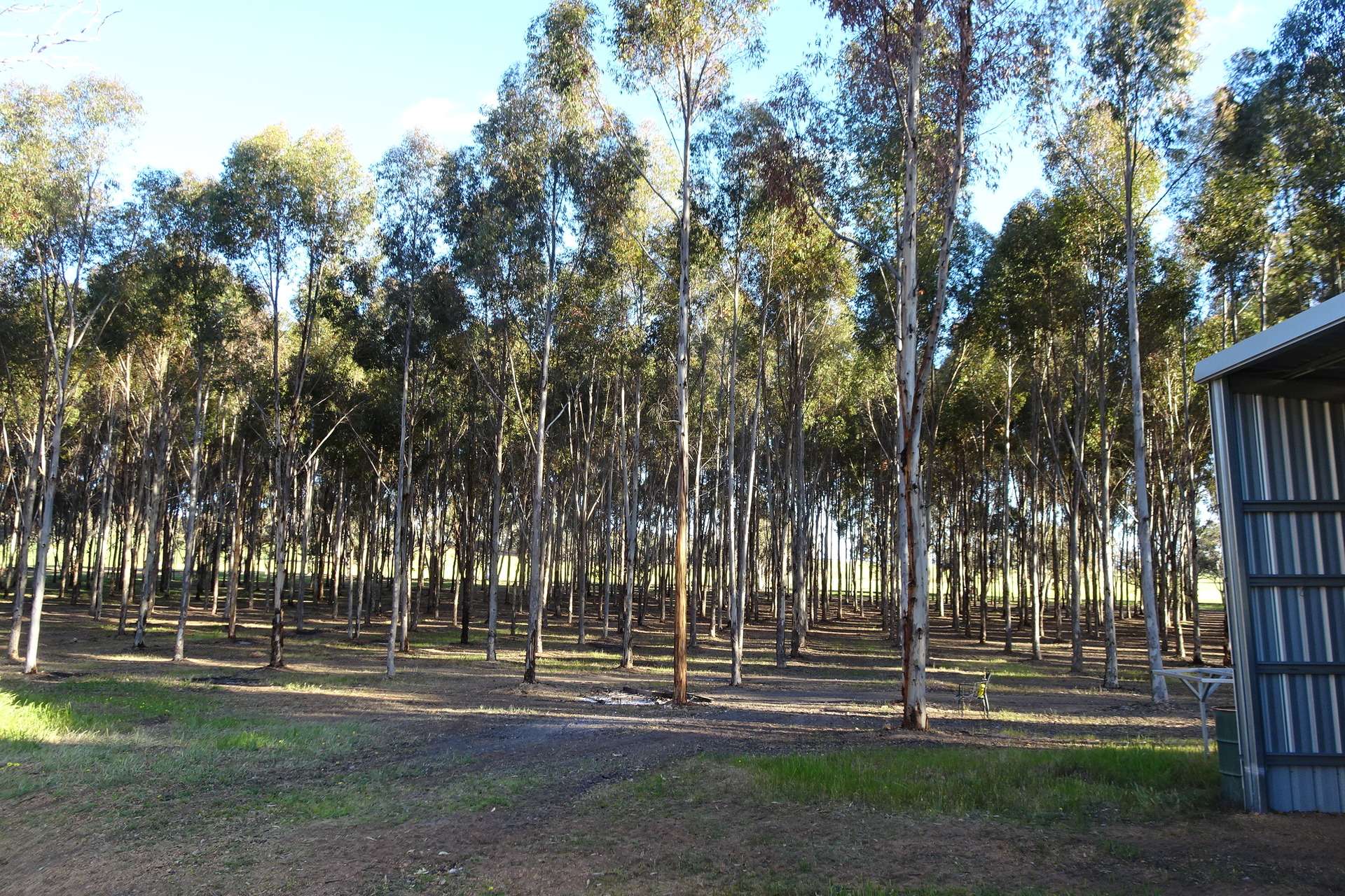 Lot 7244 Tullets Road West, Popanyinning For Sale by Farmbuy.com - image 9
