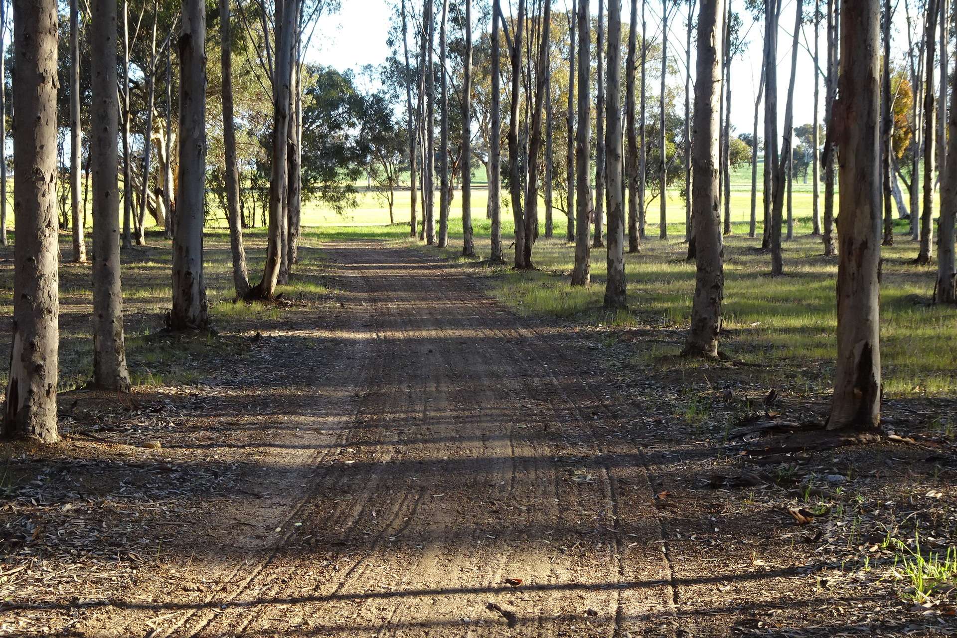 Lot 7244 Tullets Road West, Popanyinning For Sale by Farmbuy.com - image 4