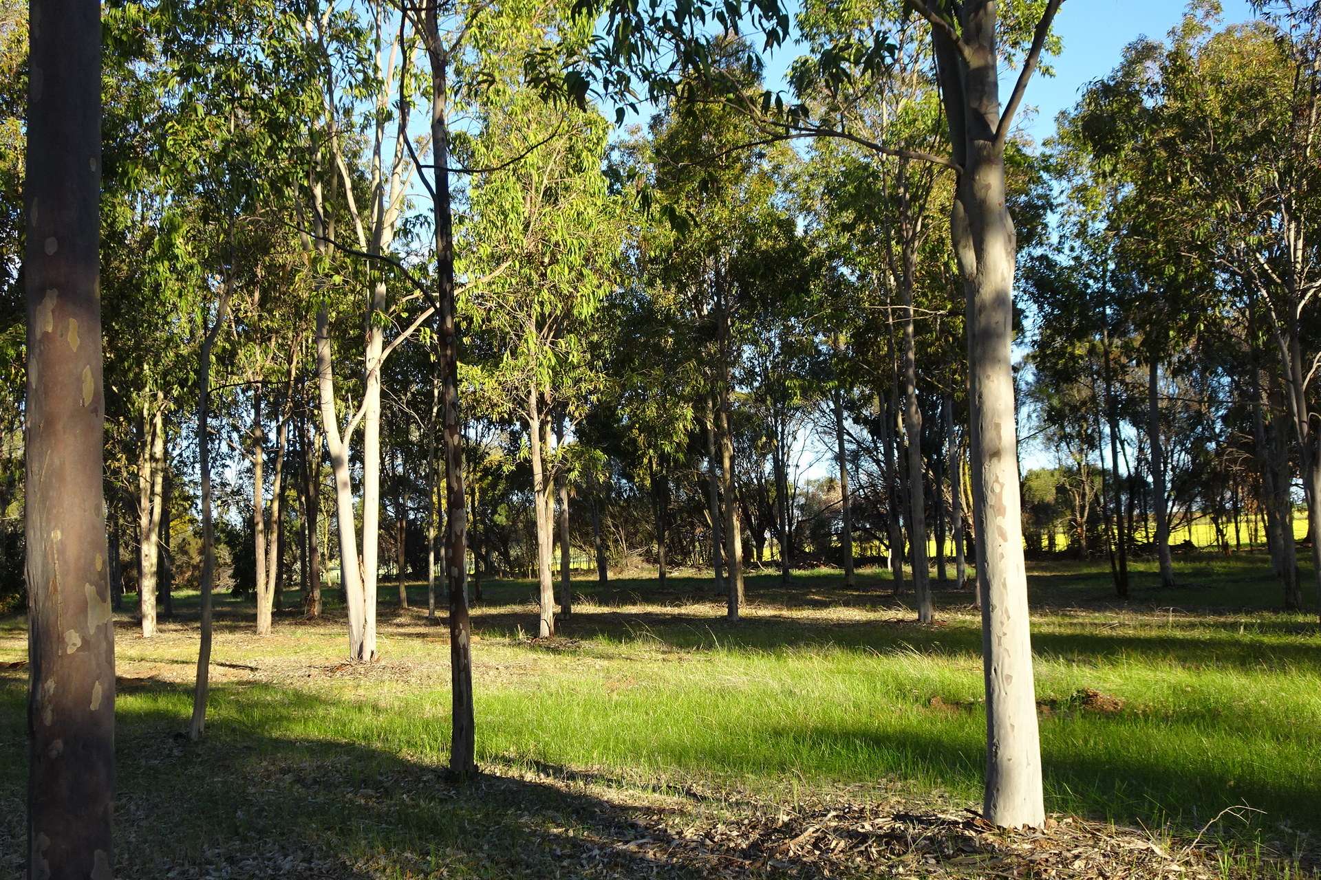 Lot 7244 Tullets Road West, Popanyinning For Sale by Farmbuy.com - image 21