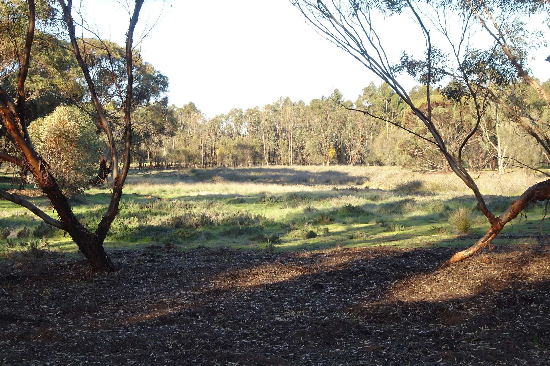Lot 7244 Tullets Road West, Popanyinning For Sale by Farmbuy.com - image 28