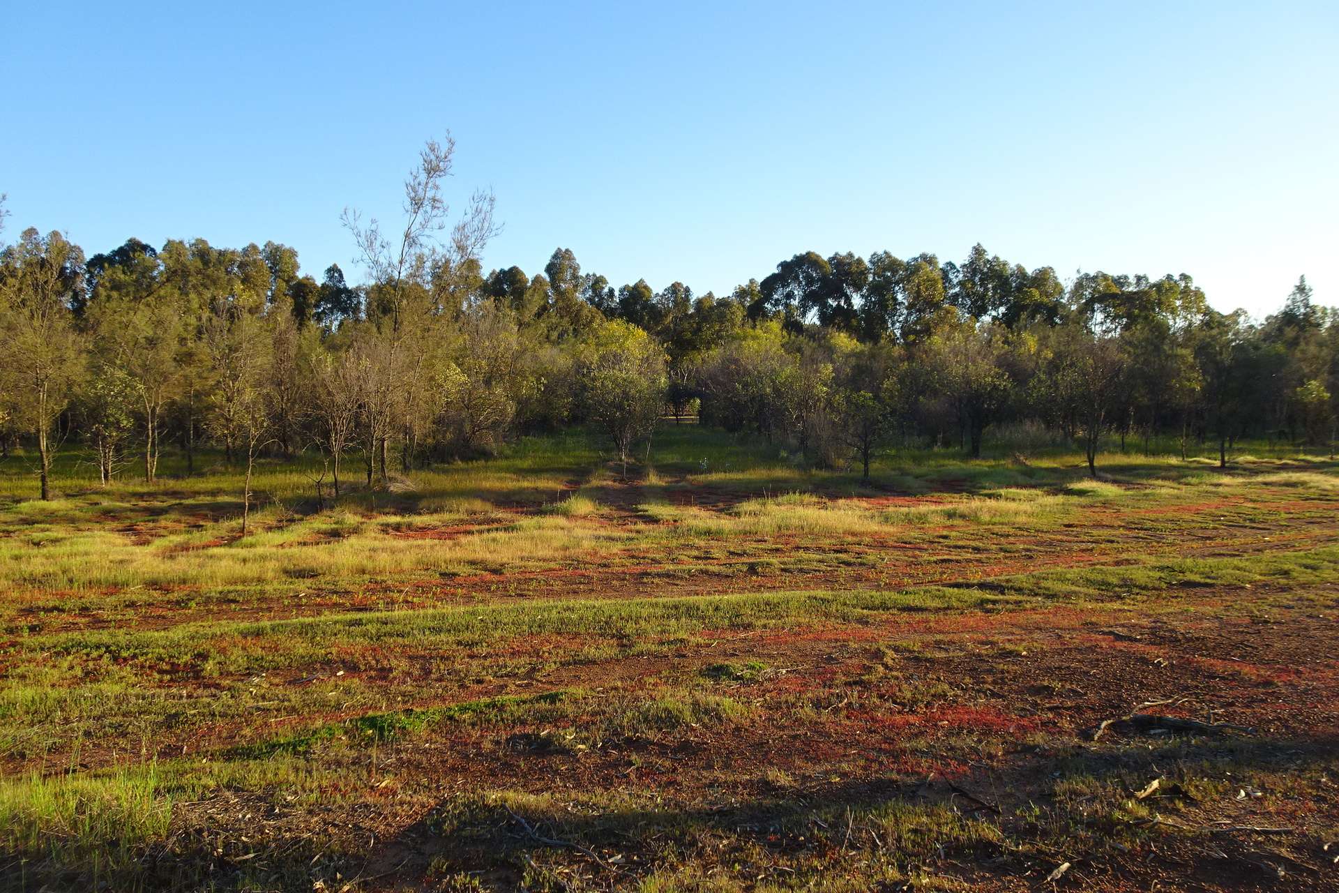 Lot 7244 Tullets Road West, Popanyinning For Sale by Farmbuy.com - image 34