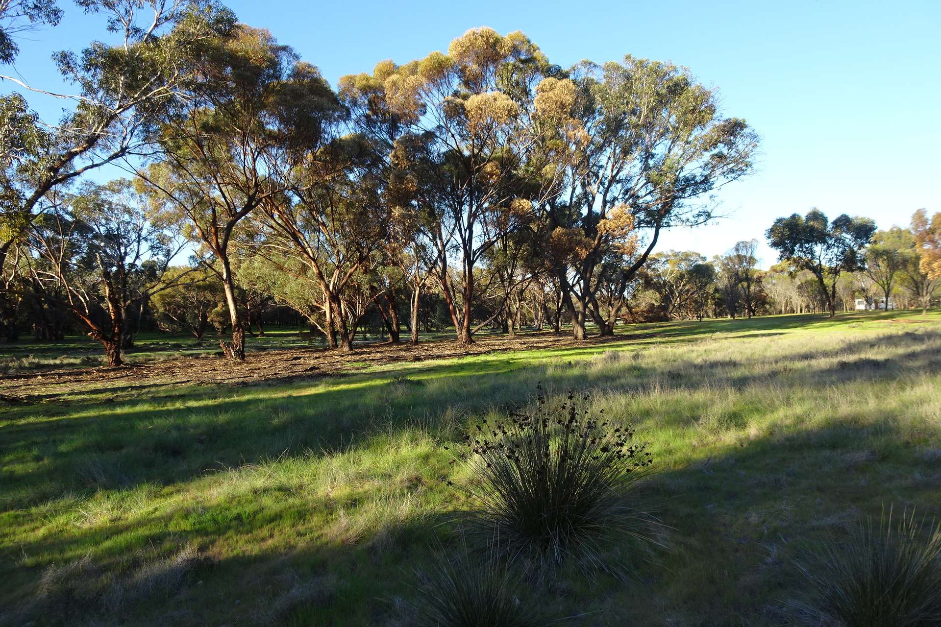 Lot 7244 Tullets Road West, Popanyinning For Sale by Farmbuy.com - image 18