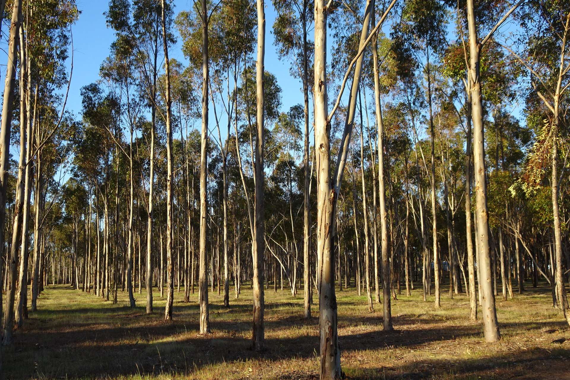 Lot 7244 Tullets Road West, Popanyinning For Sale by Farmbuy.com - image 29