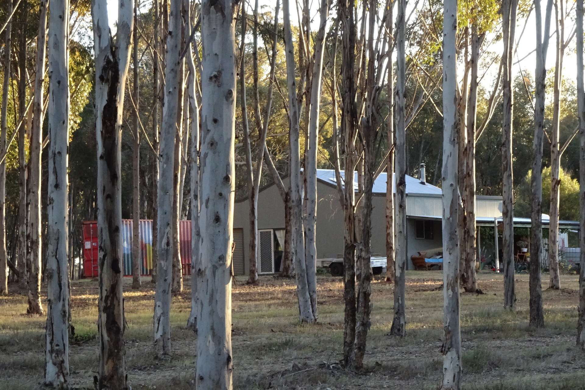 Lot 7244 Tullets Road West, Popanyinning For Sale by Farmbuy.com - image 1