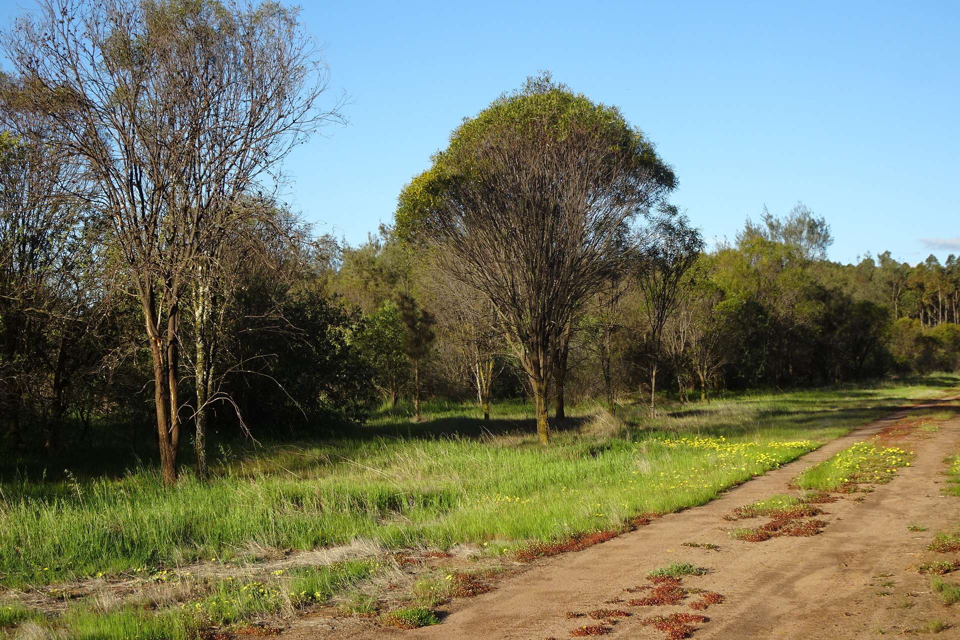 Lot 7244 Tullets Road West, Popanyinning For Sale by Farmbuy.com - image 13
