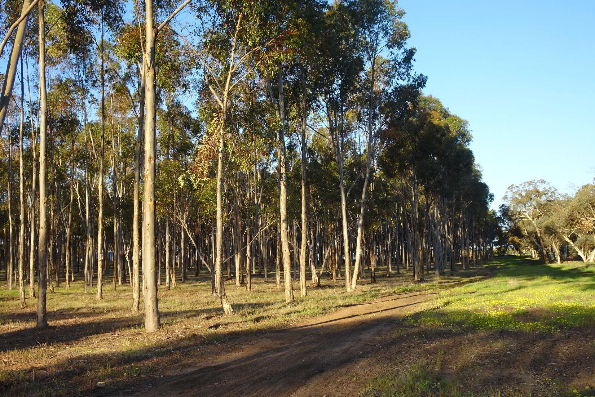 Lot 7244 Tullets Road West, Popanyinning For Sale by Farmbuy.com - image 30