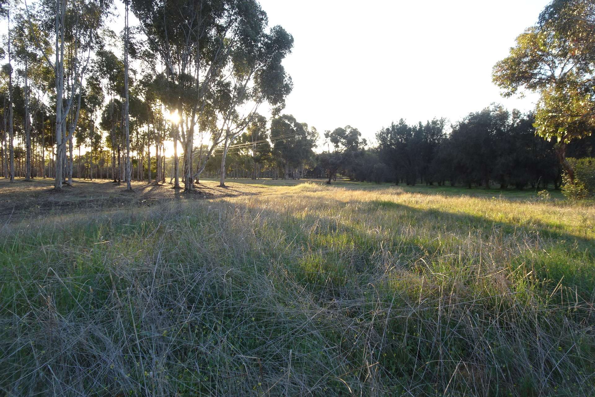 Lot 7244 Tullets Road West, Popanyinning For Sale by Farmbuy.com - image 33