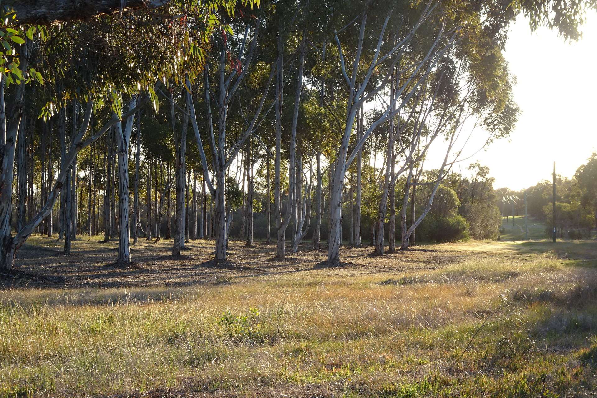 Lot 7244 Tullets Road West, Popanyinning For Sale by Farmbuy.com - image 32