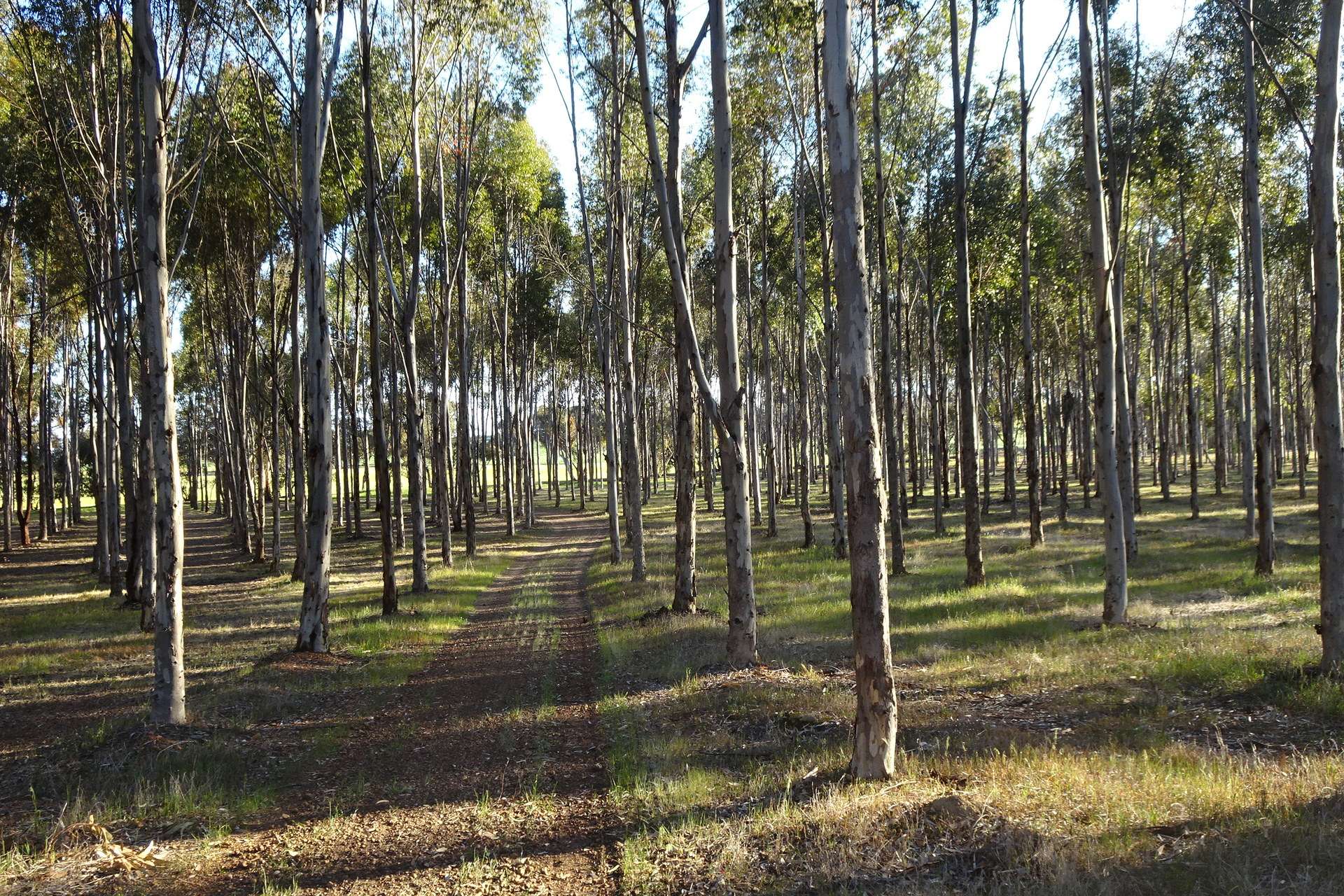 Lot 7244 Tullets Road West, Popanyinning For Sale by Farmbuy.com - image 12