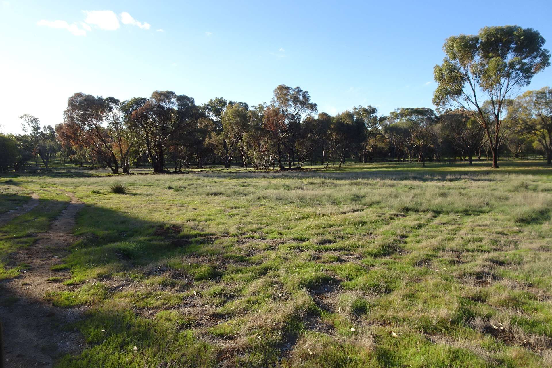 Lot 7244 Tullets Road West, Popanyinning For Sale by Farmbuy.com - image 16