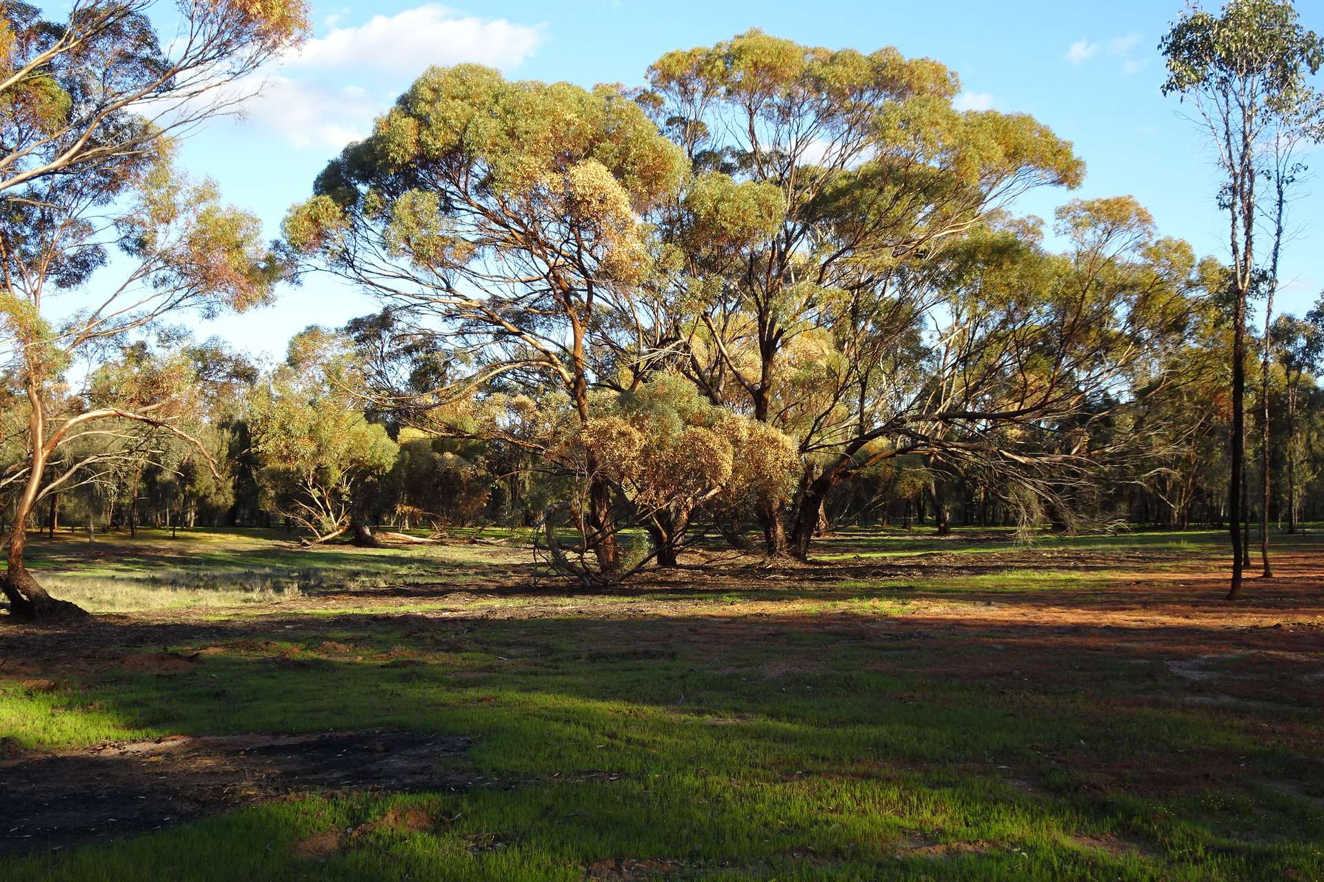 Lot 7244 Tullets Road West, Popanyinning For Sale by Farmbuy.com - image 26