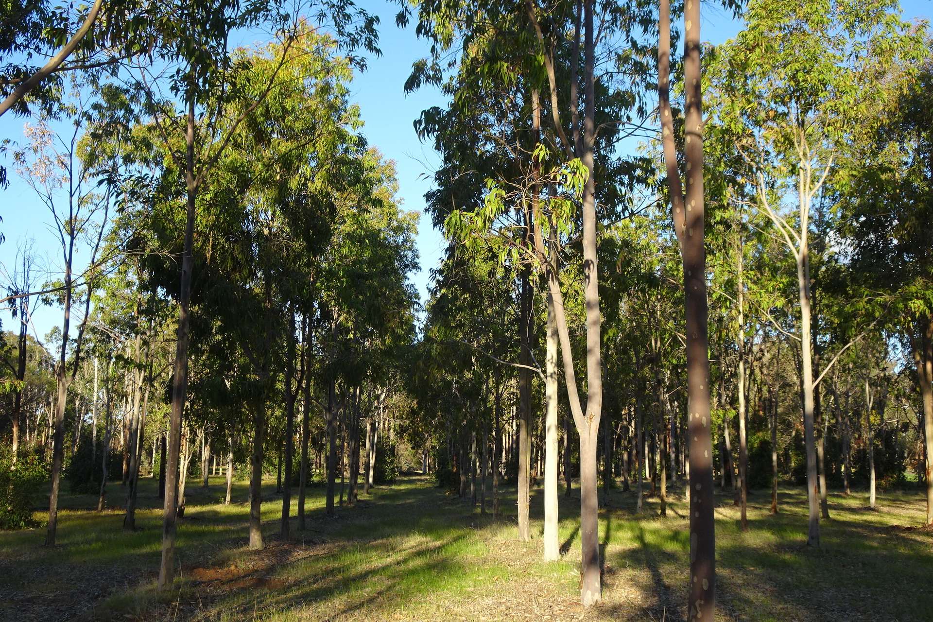 Lot 7244 Tullets Road West, Popanyinning For Sale by Farmbuy.com - image 20