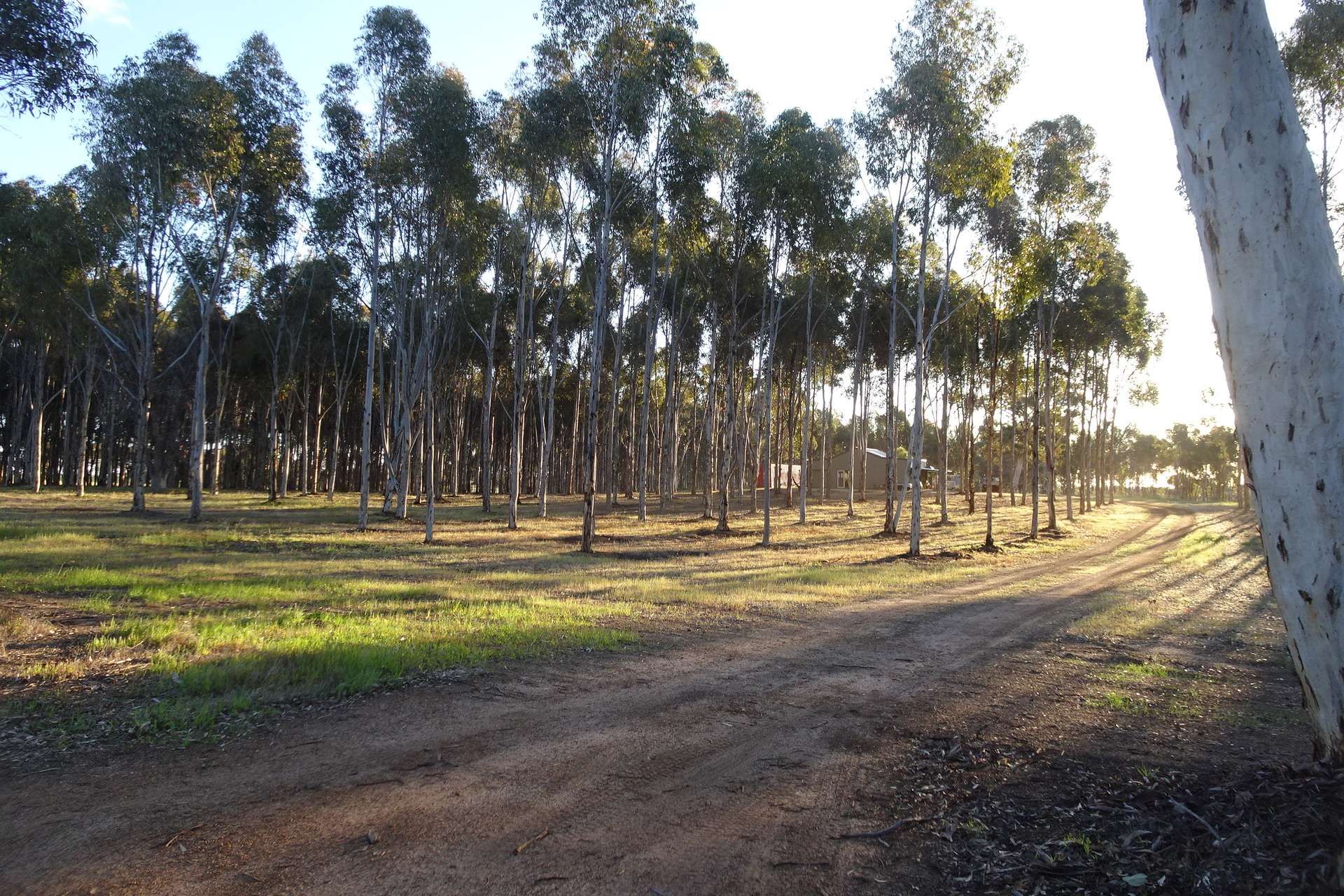 Lot 7244 Tullets Road West, Popanyinning For Sale by Farmbuy.com - image 2