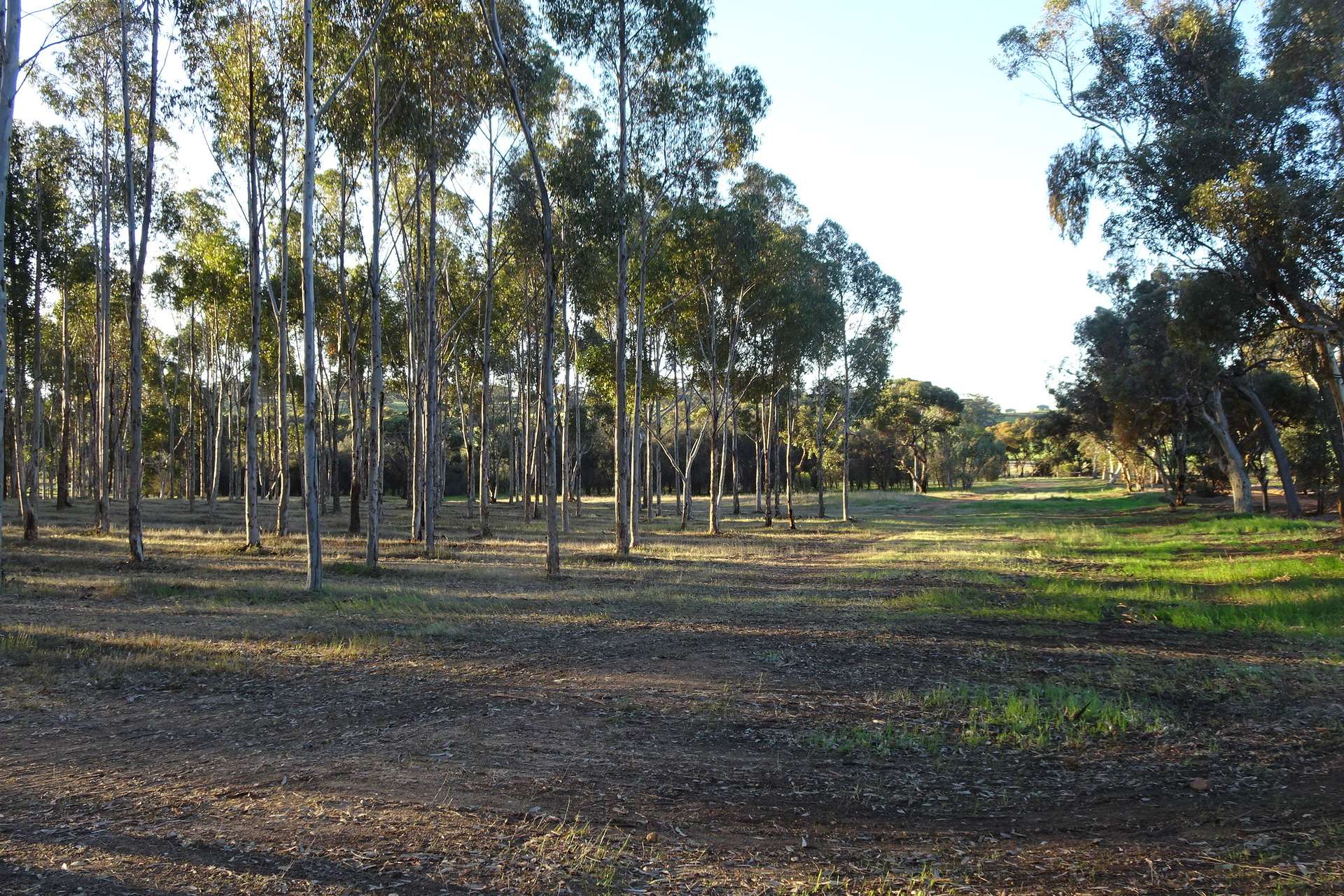 Lot 7244 Tullets Road West, Popanyinning For Sale by Farmbuy.com - image 31