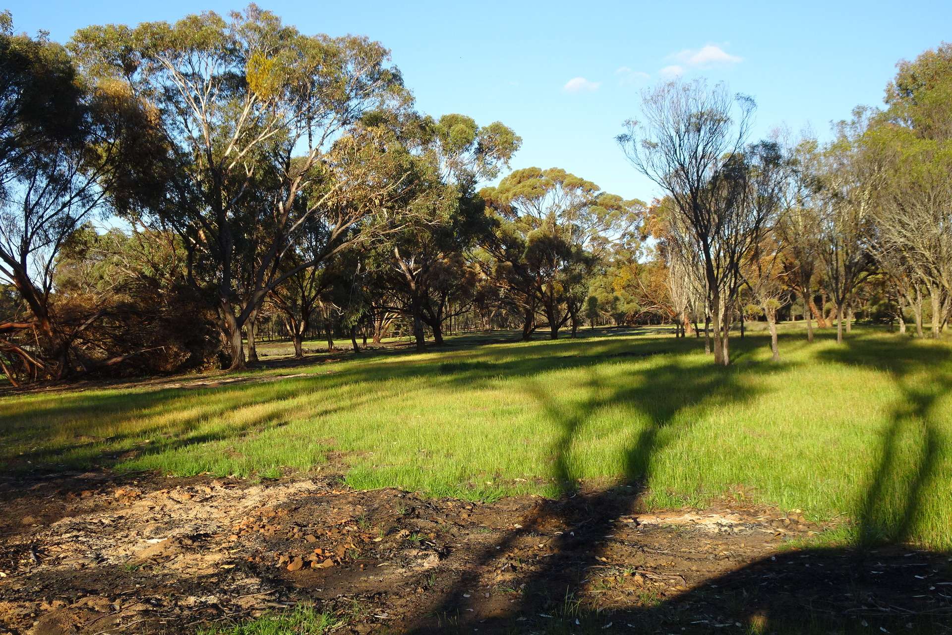 Lot 7244 Tullets Road West, Popanyinning For Sale by Farmbuy.com - image 24