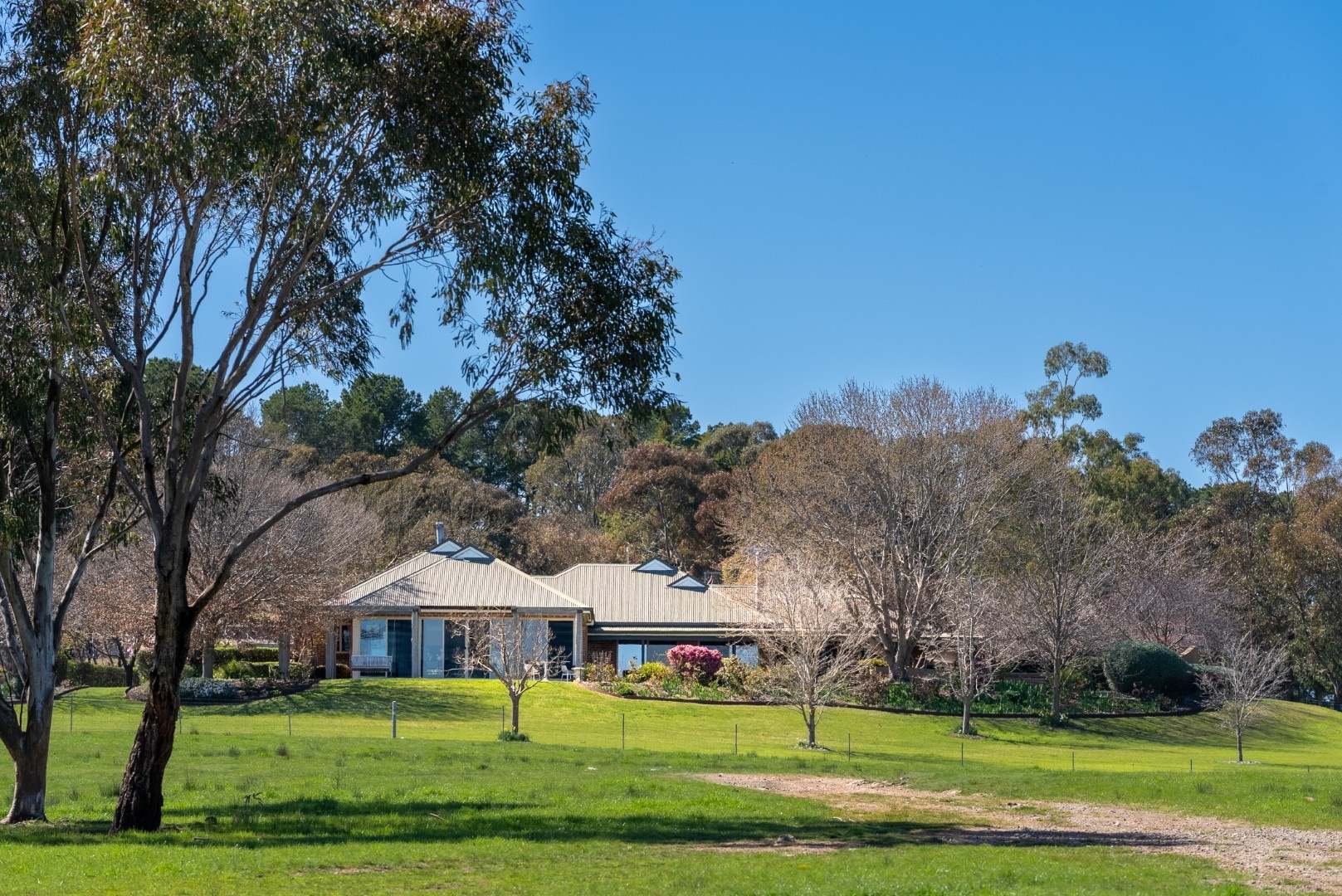 389 Kent Road, Orange Auction by Farmbuy.com - image 2