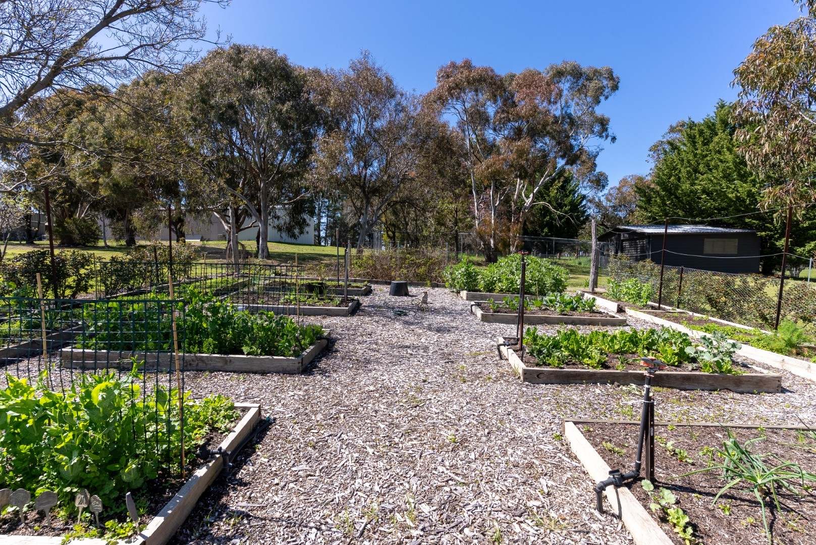 389 Kent Road, Orange Auction by Farmbuy.com - image 27