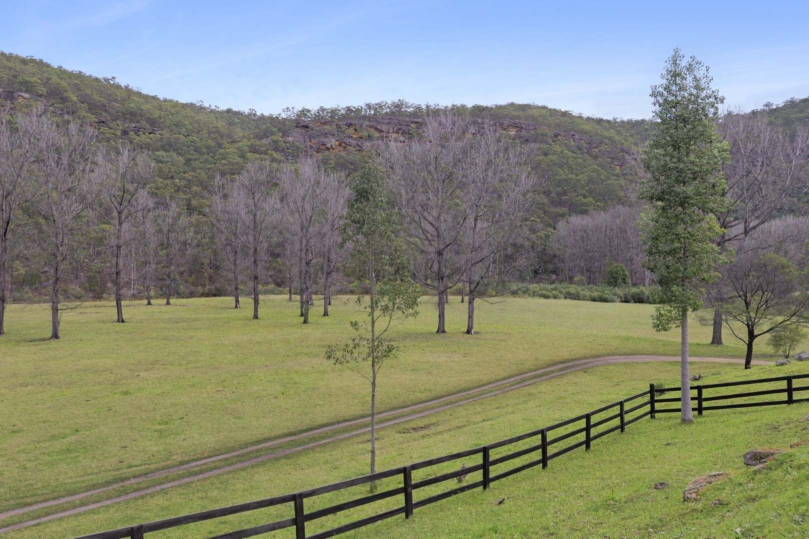 1451 Webbs Creek Road, Wisemans Ferry Auction by Farmbuy.com - image 8