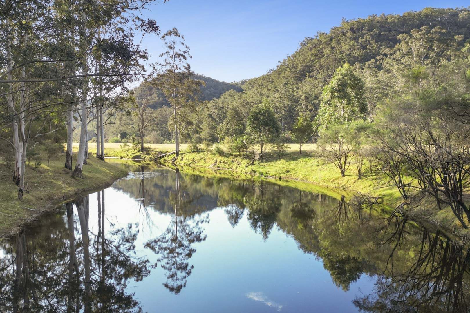 1451 Webbs Creek Road, Wisemans Ferry Auction by Farmbuy.com - image 14