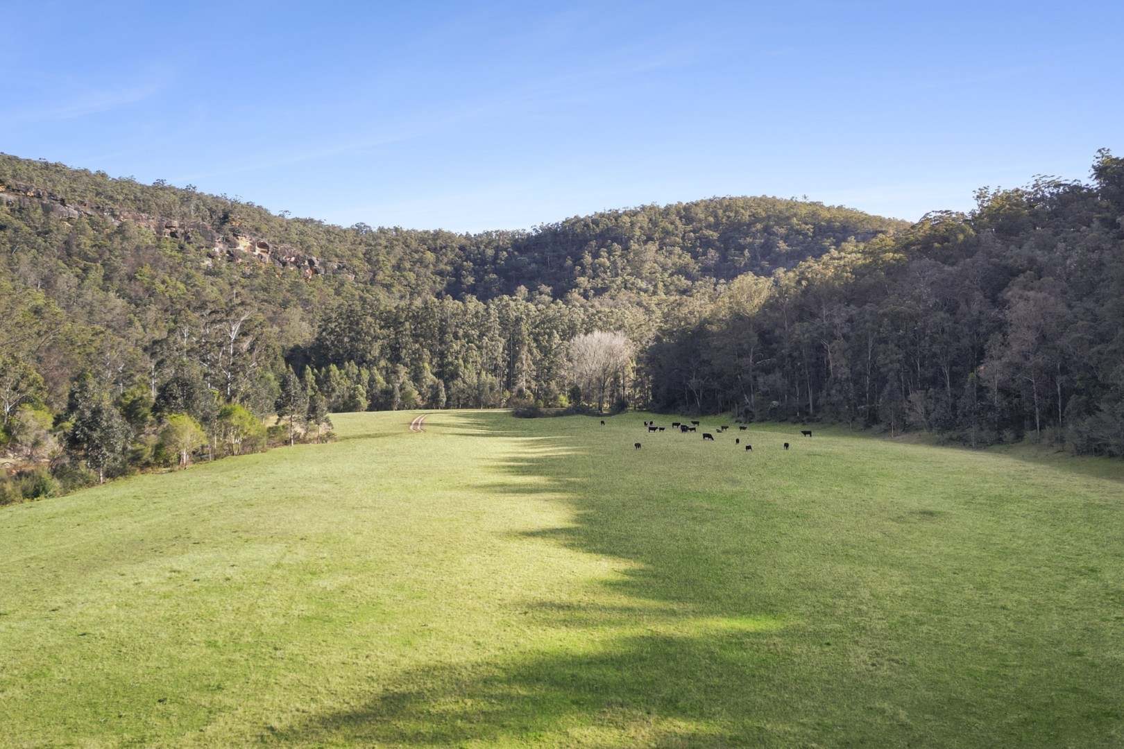 1451 Webbs Creek Road, Wisemans Ferry Auction by Farmbuy.com - image 5
