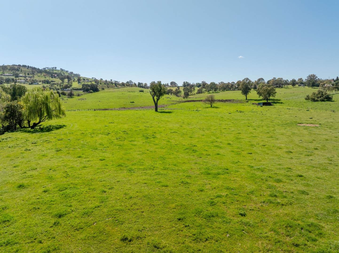 167 Hanley Street, Gundagai Auction by Farmbuy.com - image 23