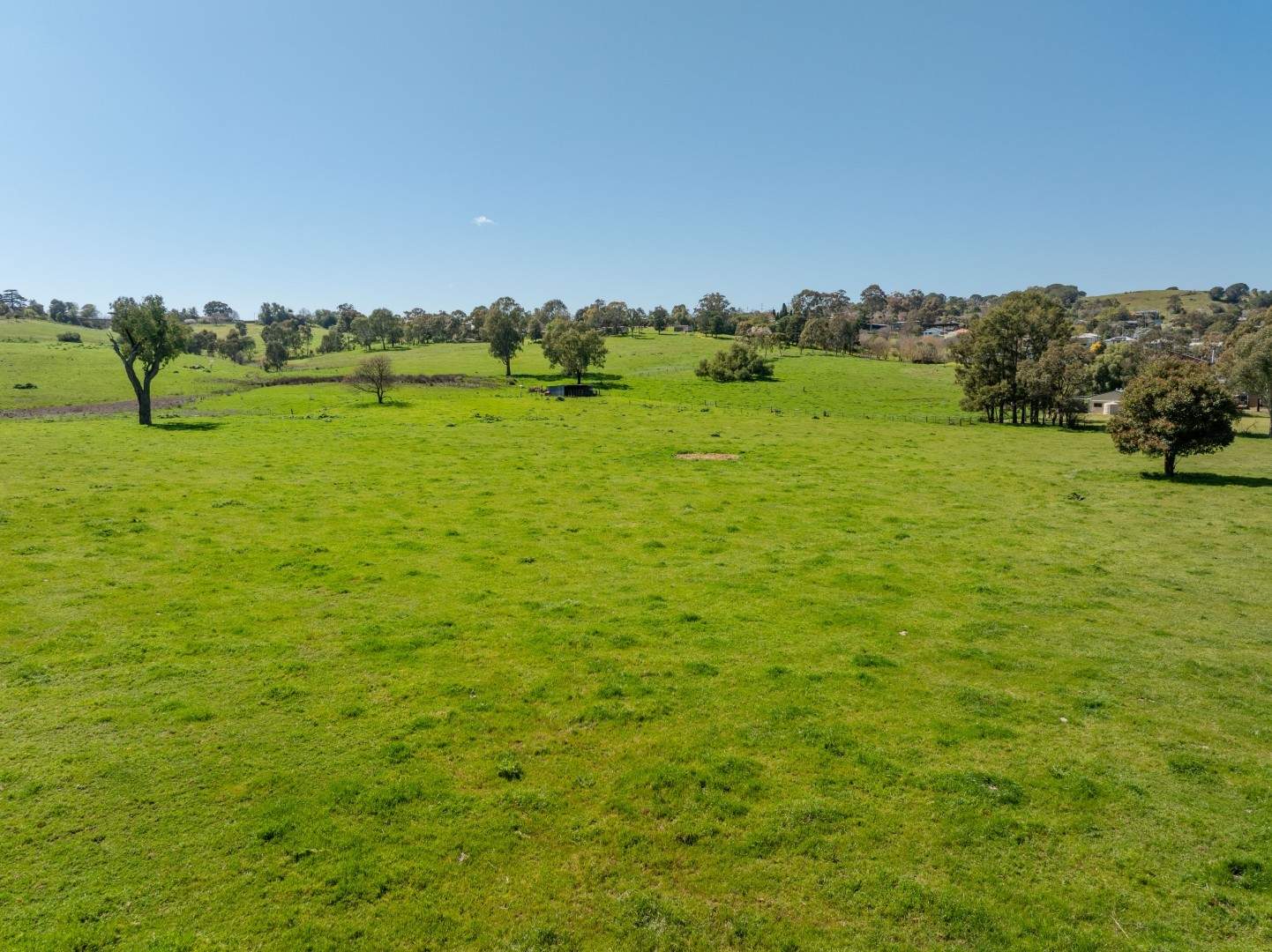 167 Hanley Street, Gundagai Auction by Farmbuy.com - image 24