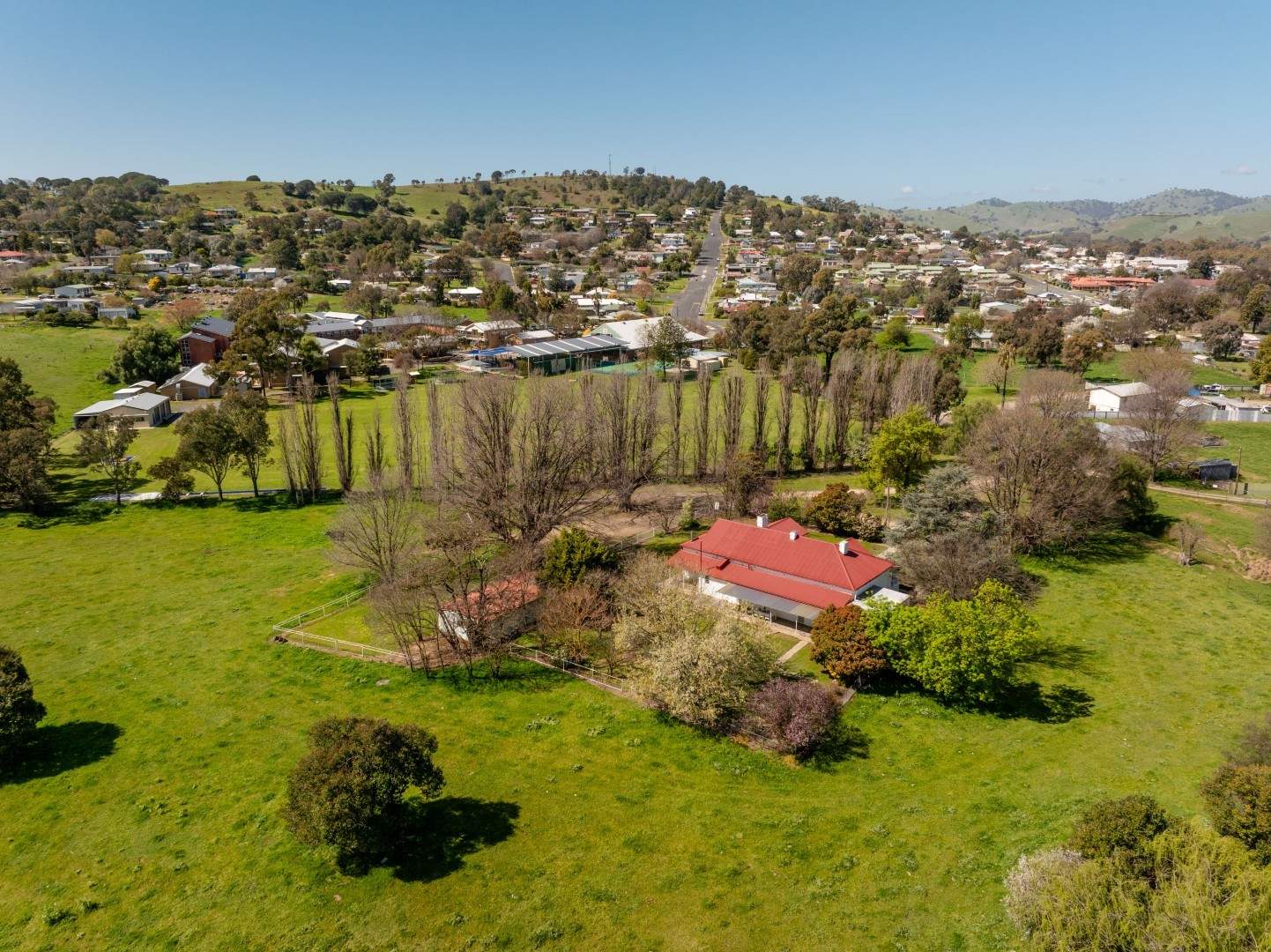 167 Hanley Street, Gundagai Auction by Farmbuy.com - image 2