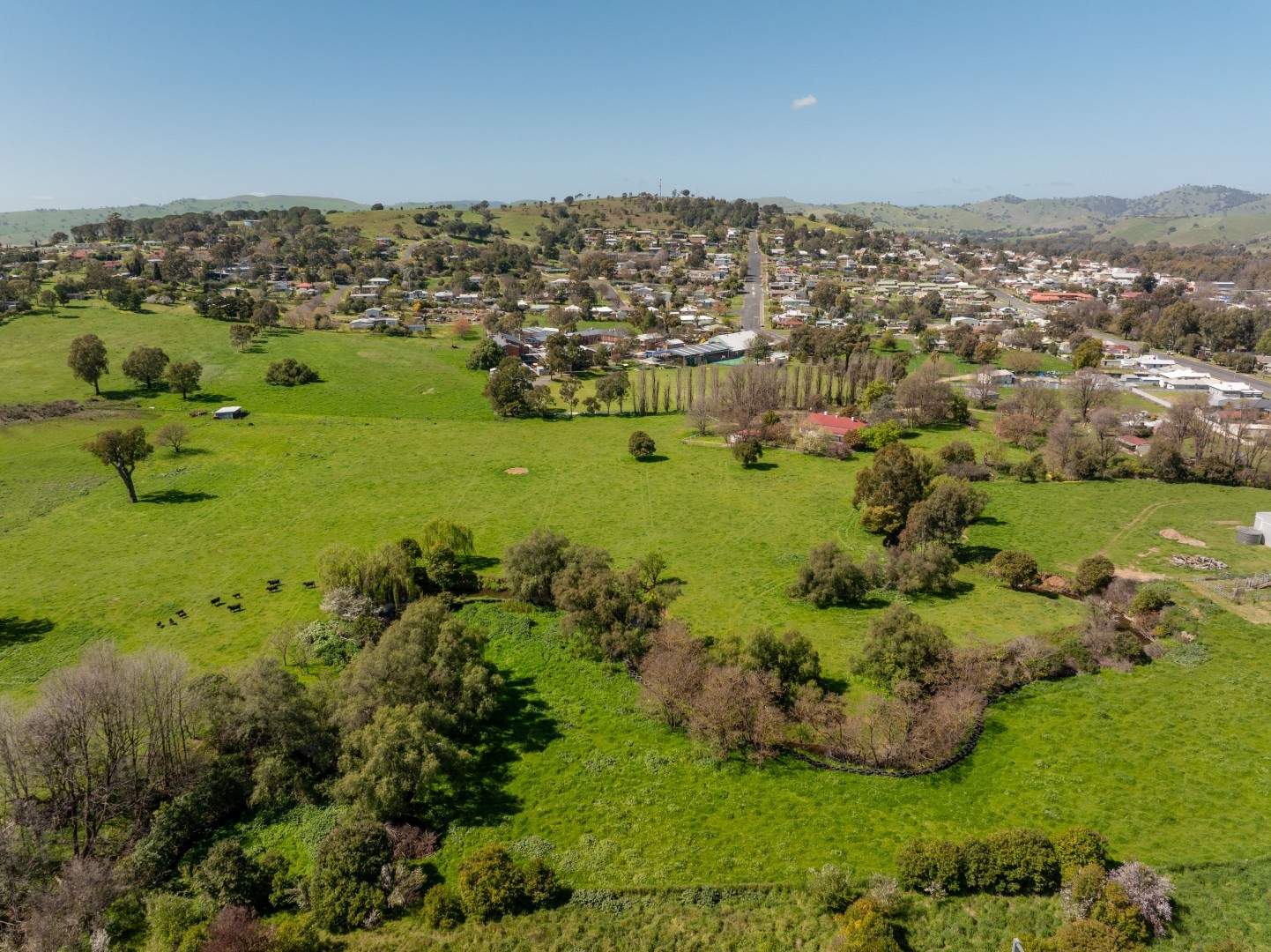 167 Hanley Street, Gundagai Auction by Farmbuy.com - image 3