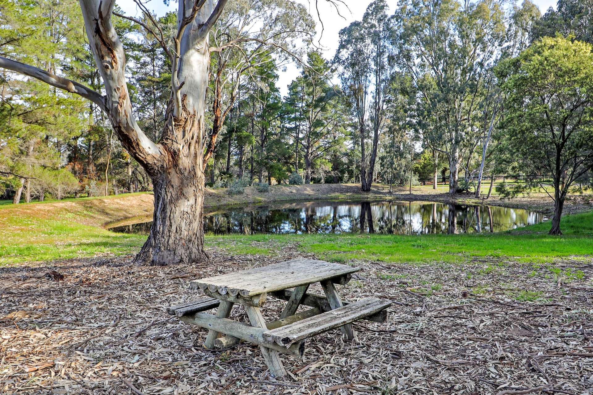 154 Ford Drive, Mansfield For Sale by Farmbuy.com - image 13