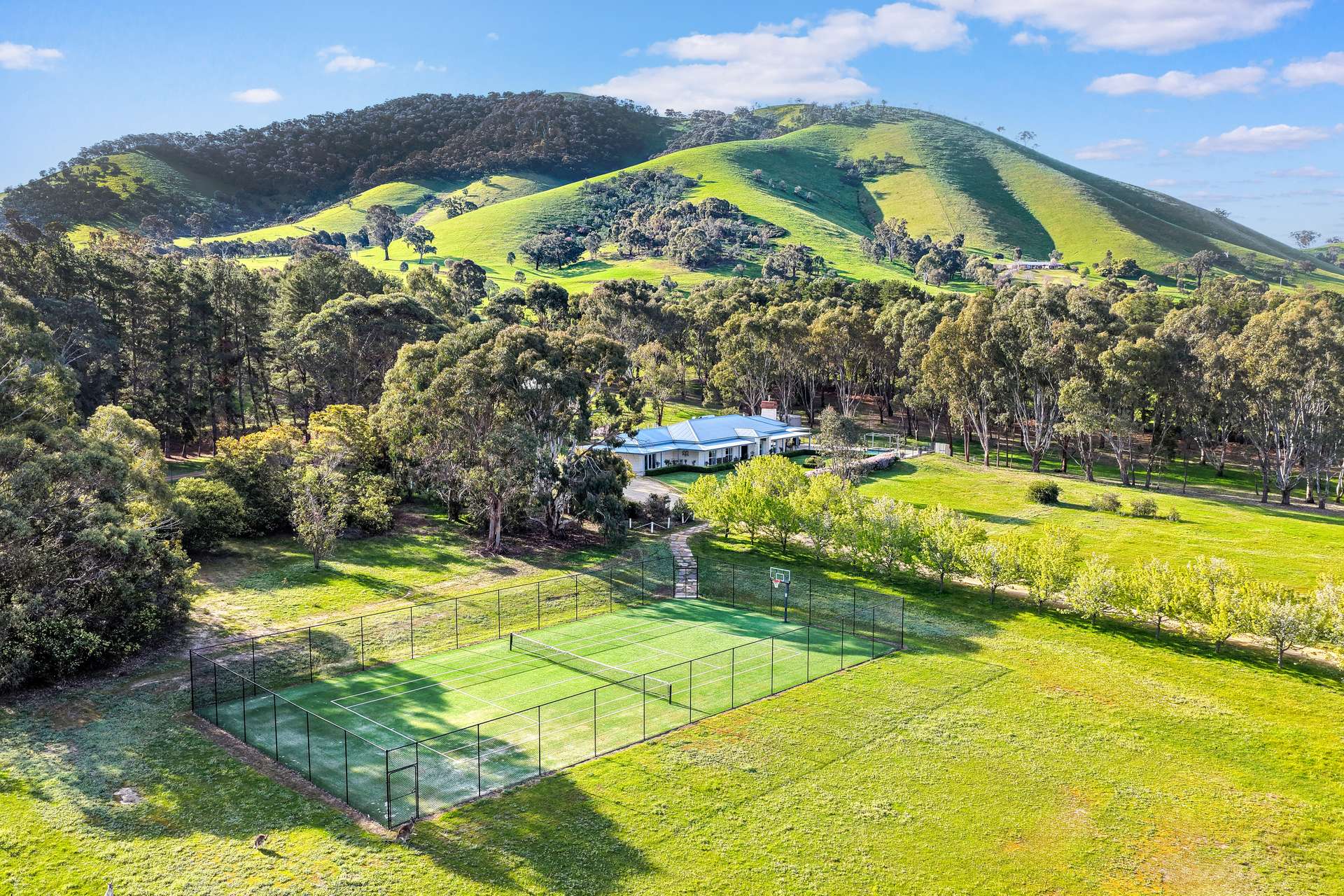 154 Ford Drive, Mansfield For Sale by Farmbuy.com - image 2