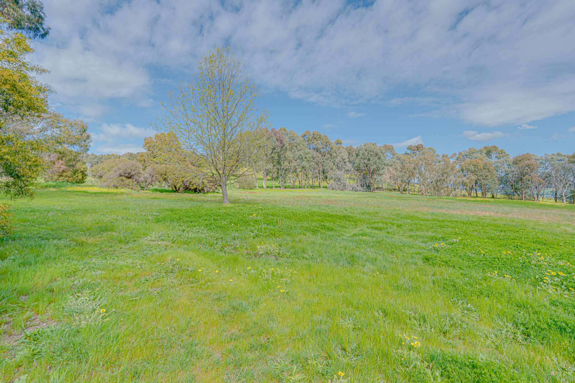 366 Blacks Flats Road, Mudgegonga For Sale by Farmbuy.com - image 23
