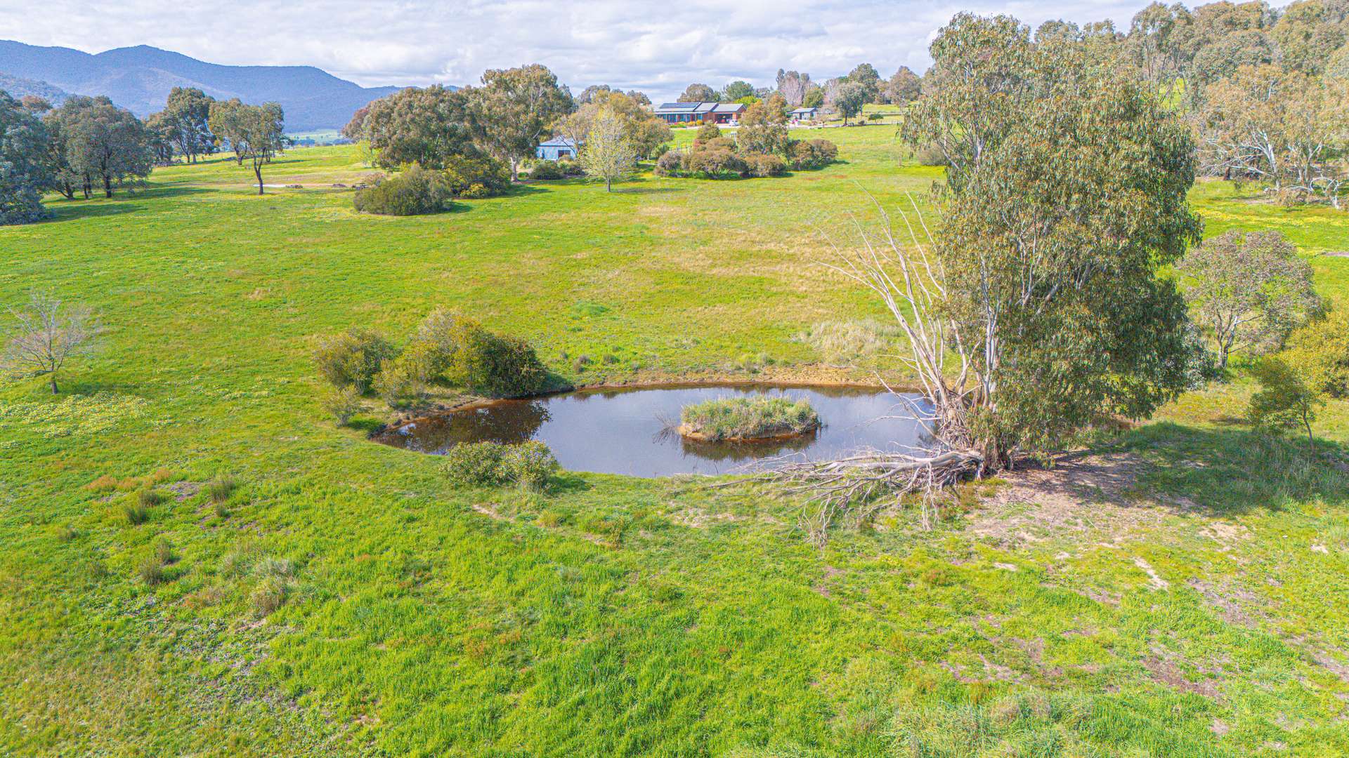 366 Blacks Flats Road, Mudgegonga For Sale by Farmbuy.com - image 21