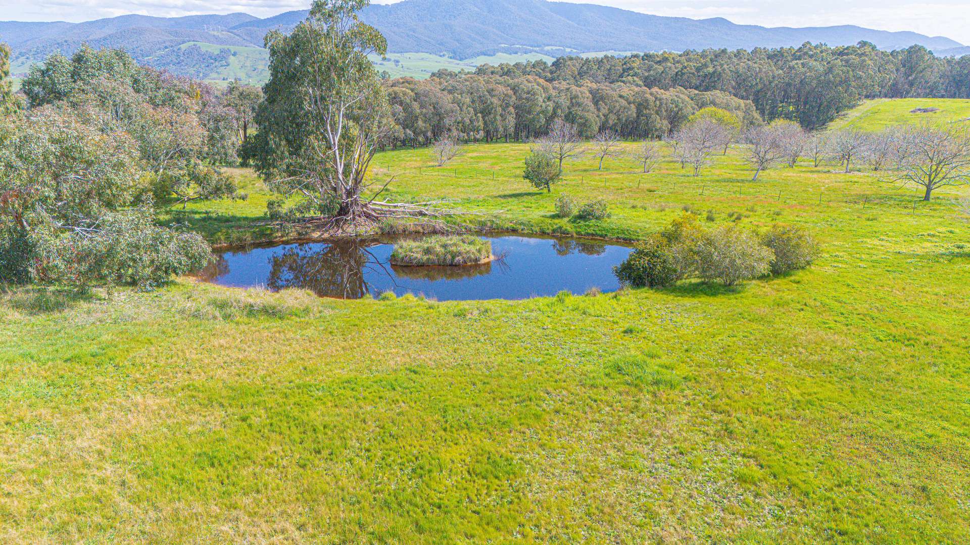 366 Blacks Flats Road, Mudgegonga For Sale by Farmbuy.com - image 22
