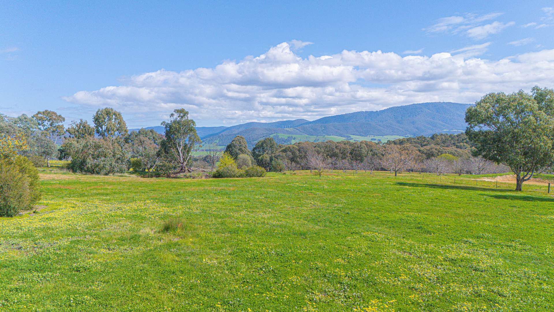 366 Blacks Flats Road, Mudgegonga For Sale by Farmbuy.com - image 6