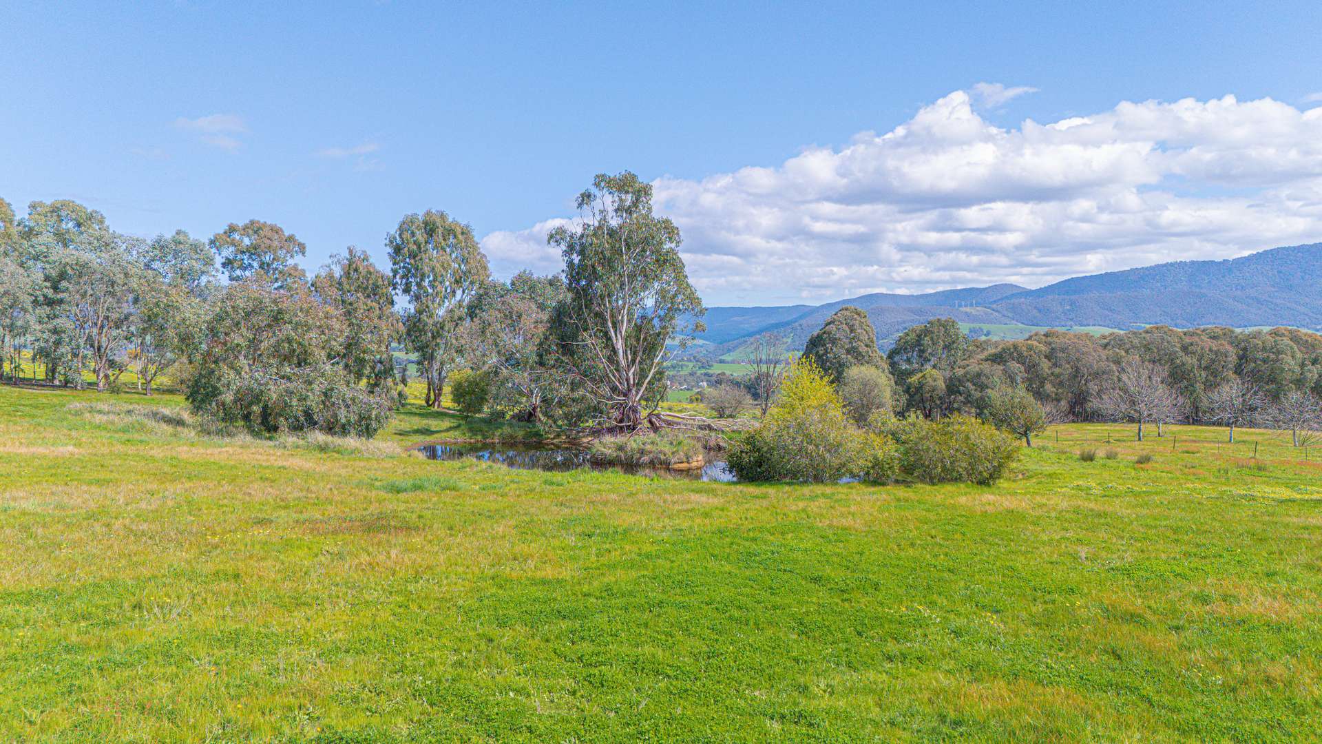 366 Blacks Flats Road, Mudgegonga For Sale by Farmbuy.com - image 5