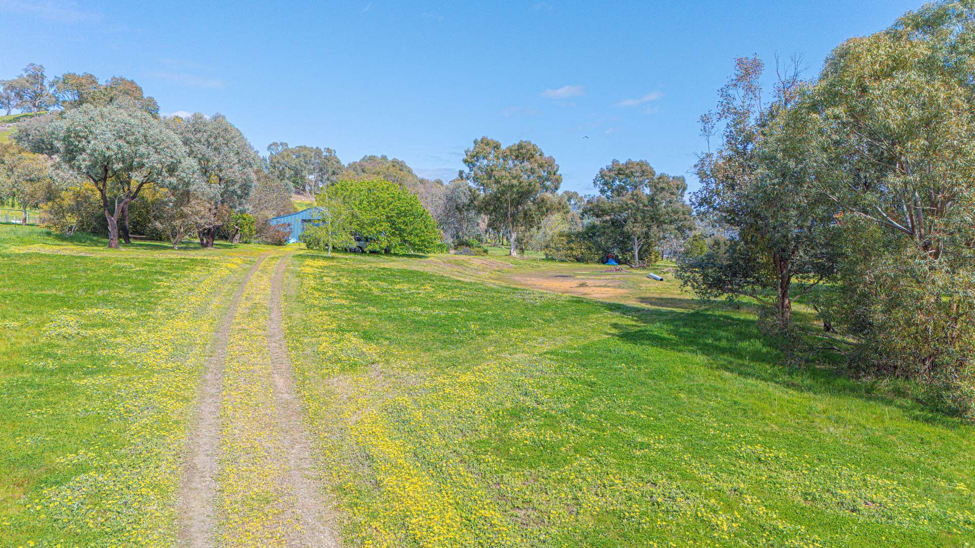366 Blacks Flats Road, Mudgegonga For Sale by Farmbuy.com - image 4