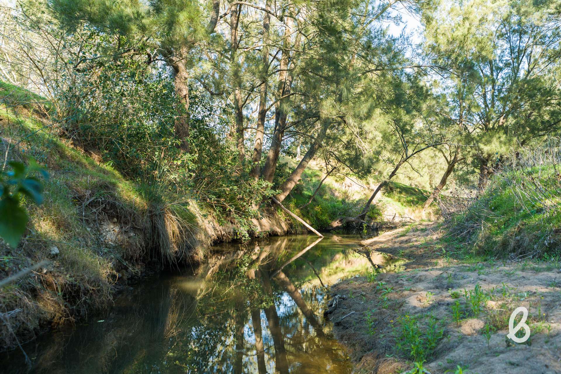 1293 Glendonbrook Road, Glendonbrook For Sale by Farmbuy.com - image 10