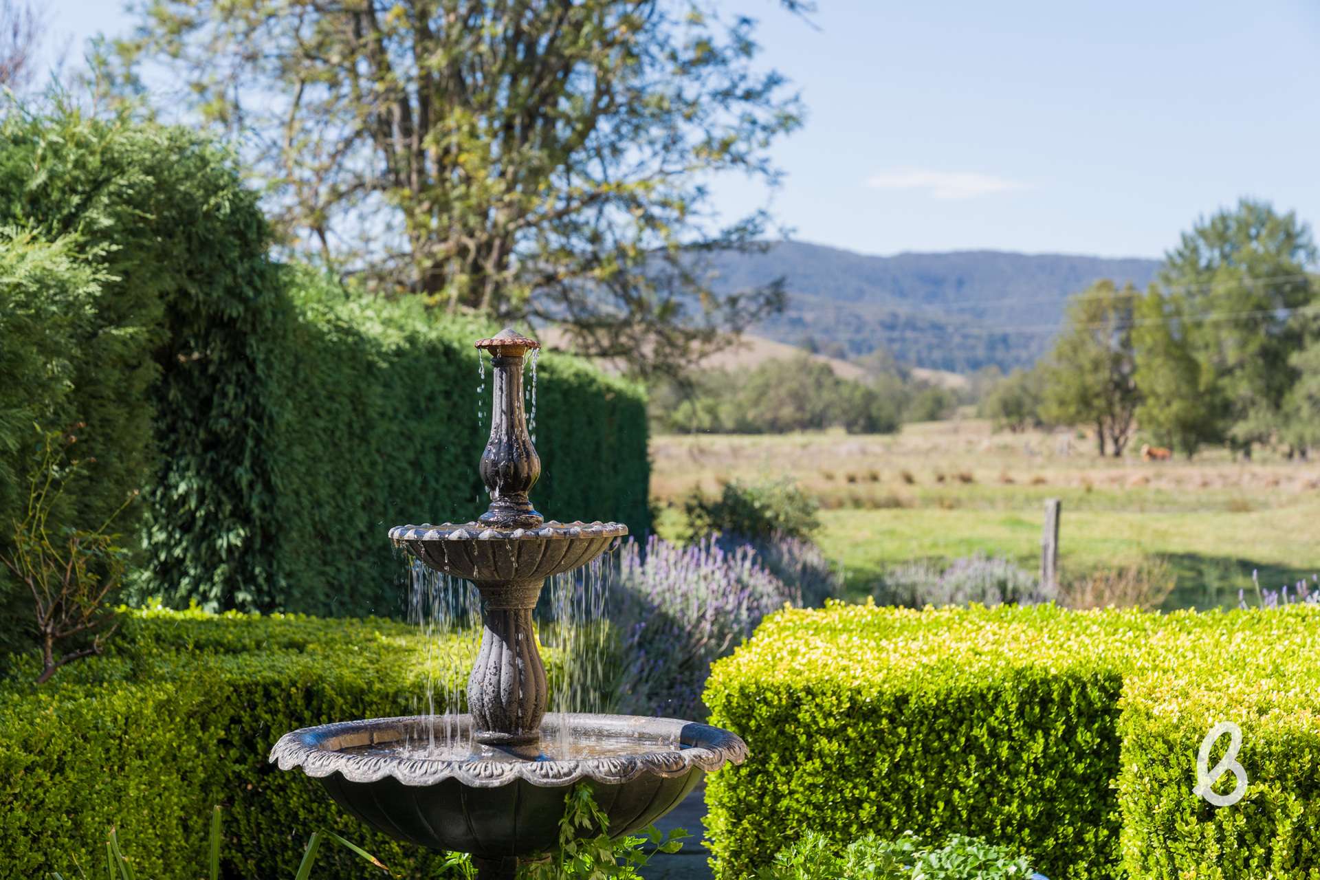 1293 Glendonbrook Road, Glendonbrook For Sale by Farmbuy.com - image 2