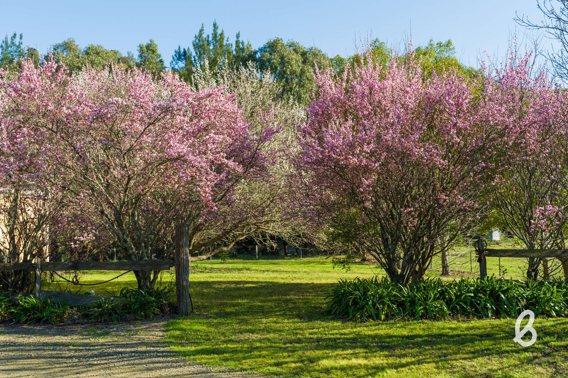 1293 Glendonbrook Road, Glendonbrook For Sale by Farmbuy.com - image 9