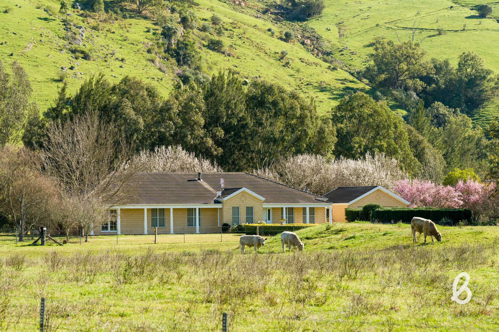 1293 Glendonbrook Road, Glendonbrook For Sale by Farmbuy.com - image 22
