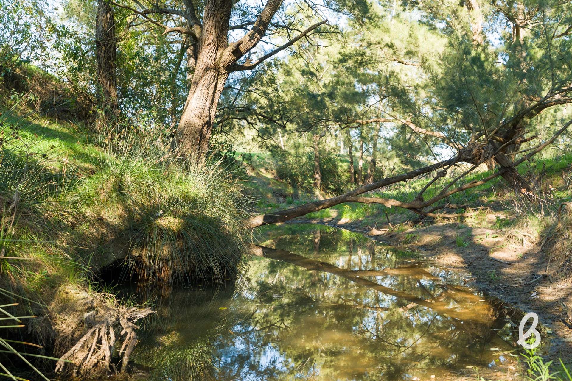 1293 Glendonbrook Road, Glendonbrook For Sale by Farmbuy.com - image 35