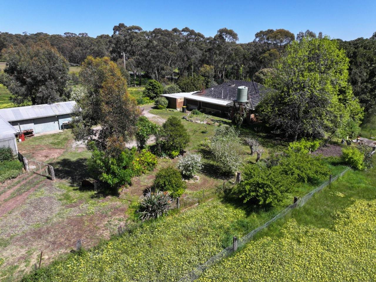 657 Crusoe Road, Lockwood For Sale by Farmbuy.com - image 24