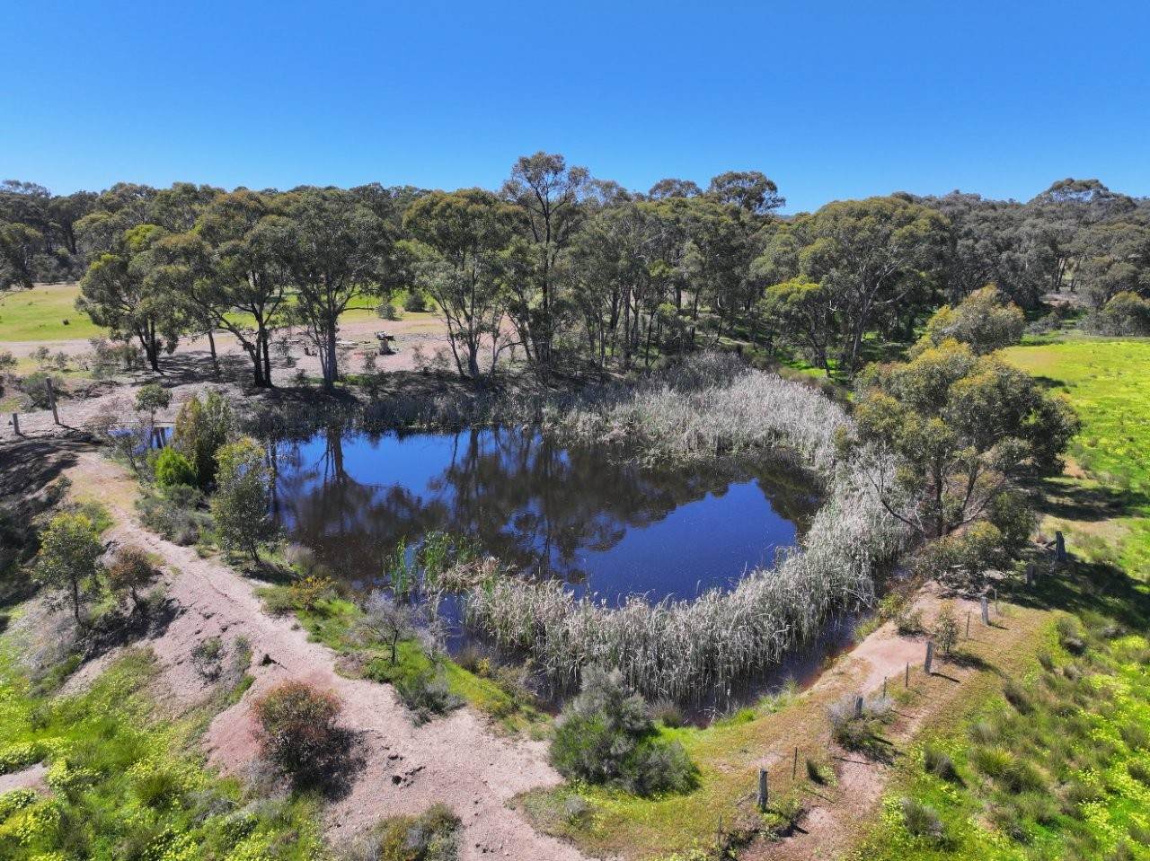 657 Crusoe Road, Lockwood For Sale by Farmbuy.com - image 23