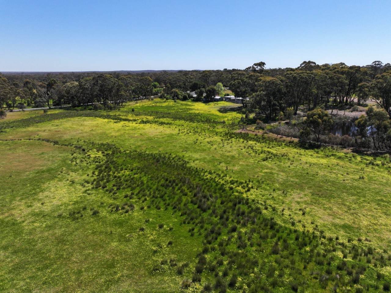 657 Crusoe Road, Lockwood For Sale by Farmbuy.com - image 25
