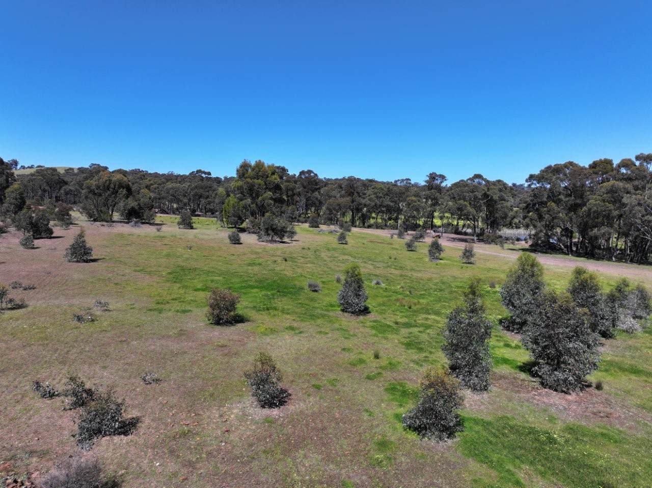657 Crusoe Road, Lockwood For Sale by Farmbuy.com - image 28