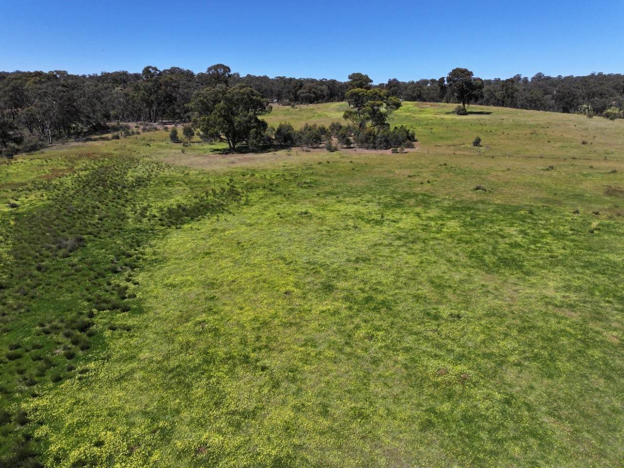 657 Crusoe Road, Lockwood For Sale by Farmbuy.com - image 26