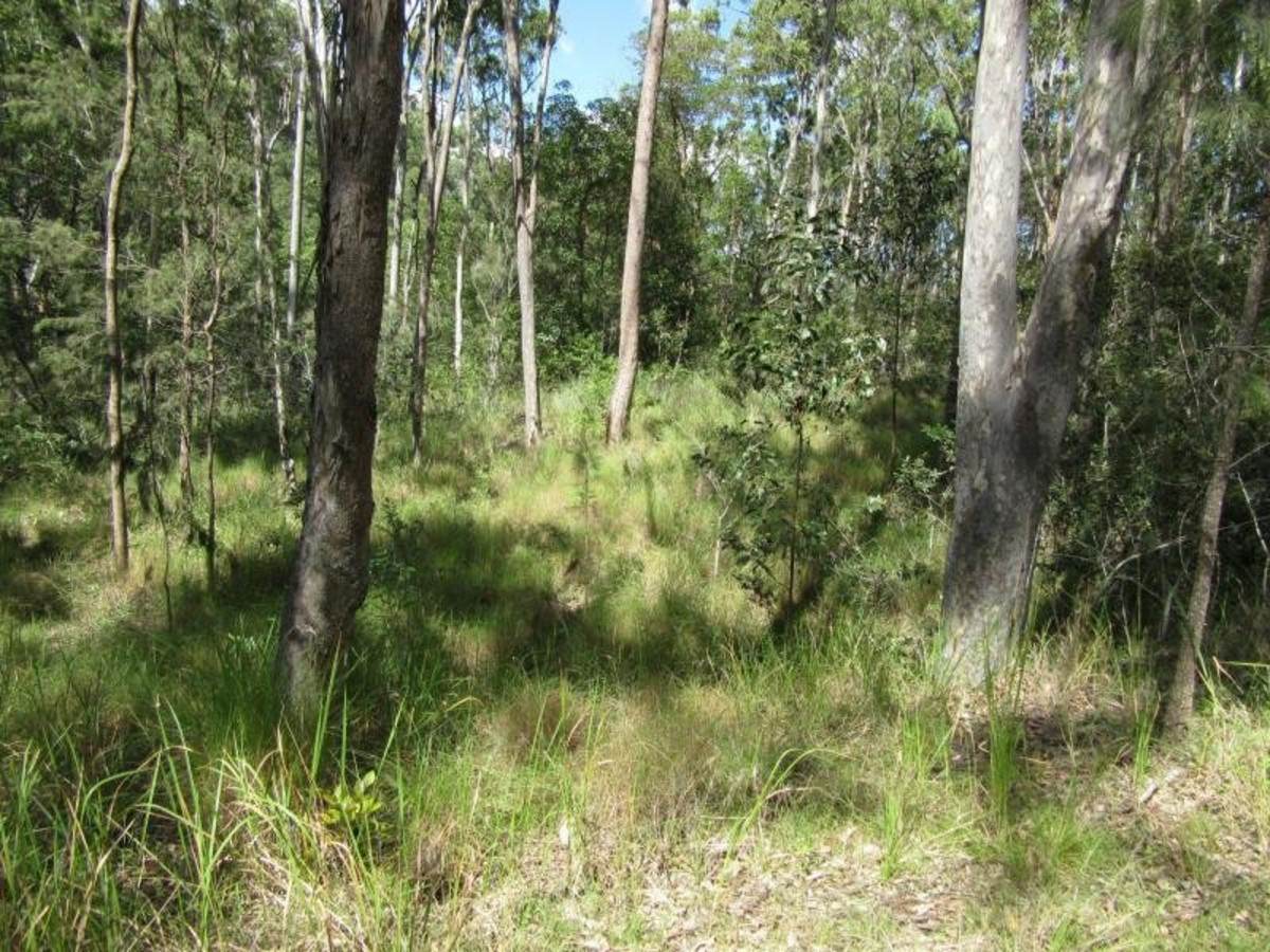 91 Jenny Lind Lane, Tabulam For Sale by Farmbuy.com - image 8