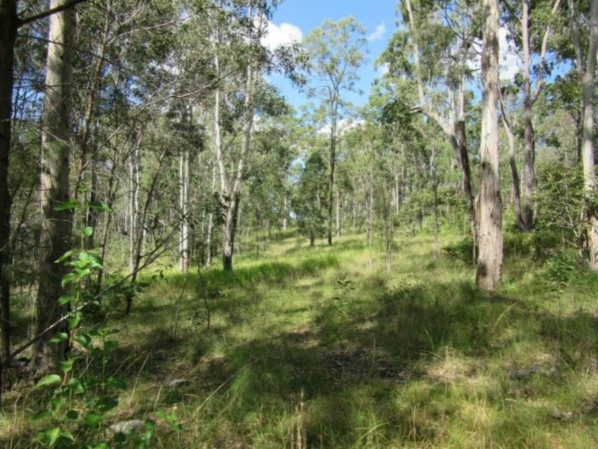 91 Jenny Lind Lane, Tabulam For Sale by Farmbuy.com - image 10