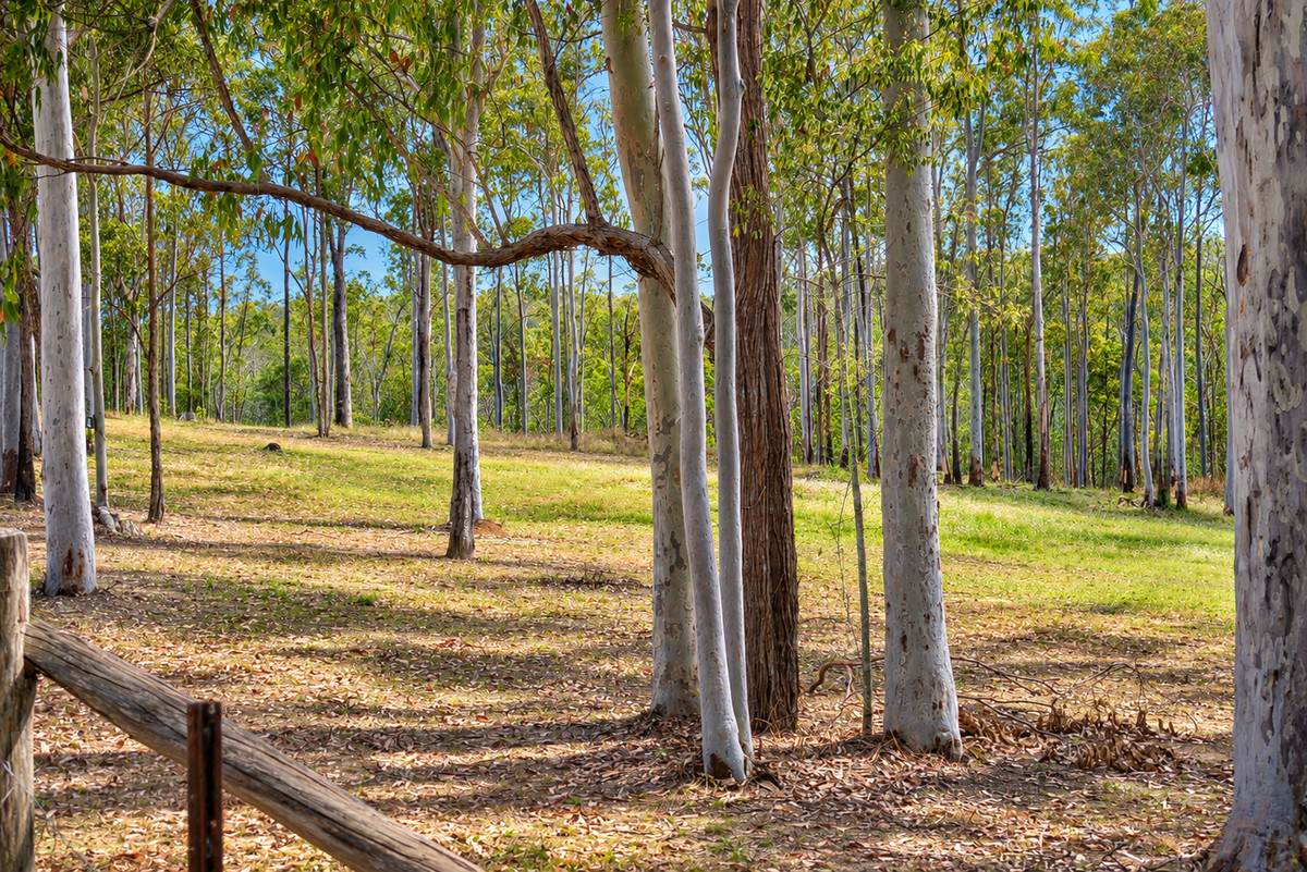 91 Jenny Lind Lane, Tabulam For Sale by Farmbuy.com - image 2